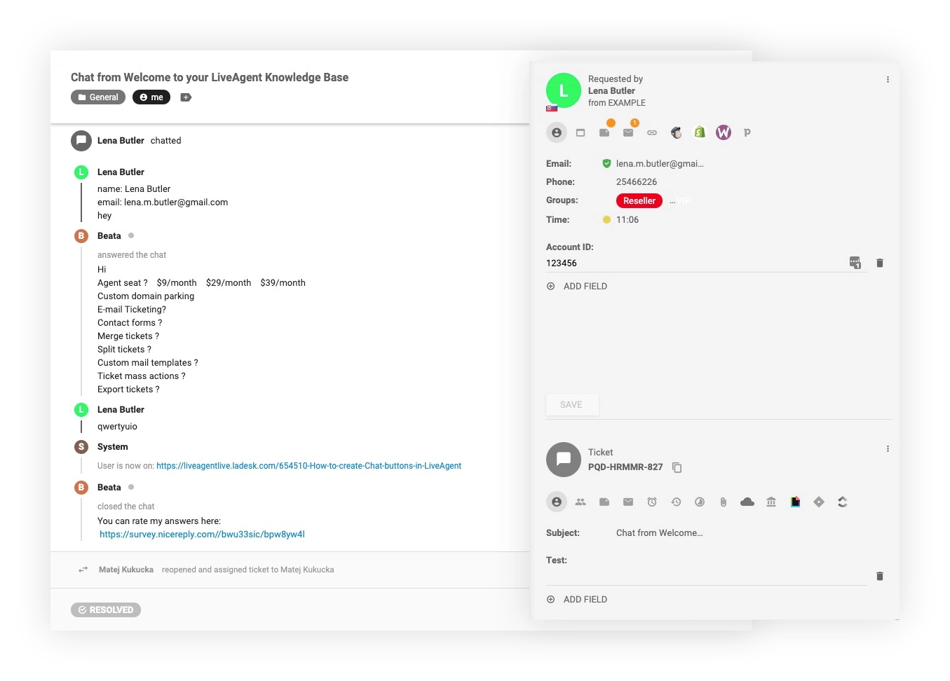 Wględy w zachowanie klientów w systemie biletów CRM