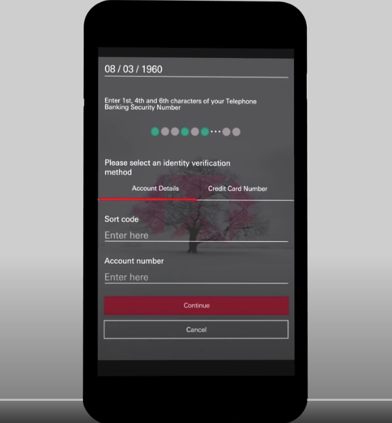 Przykład wprowadzania hasła HSBC