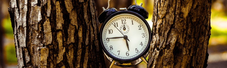 Jak zapewnić najlepszą obsługę klienta w czasie rzeczywistym w 2025 roku