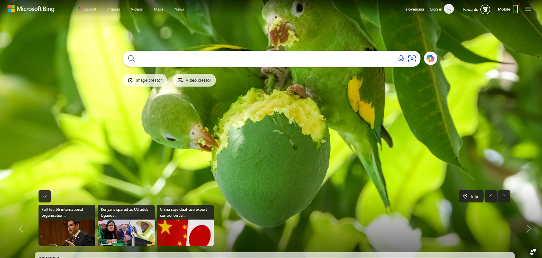 Kontakt do działu pomocy Bing