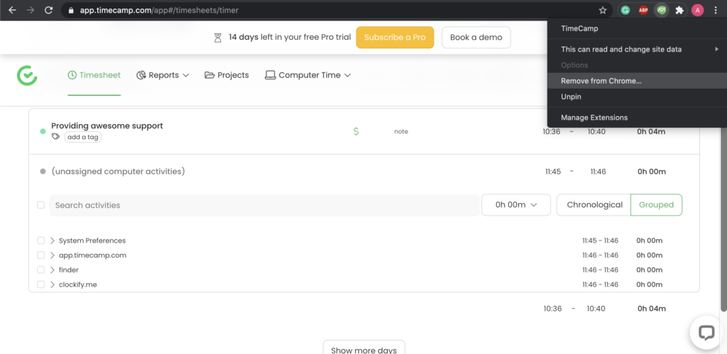 Opcje wtyczki Timecamp w Google Chrome