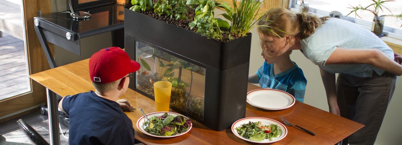 Zrównoważony rozwój AquaSprouts