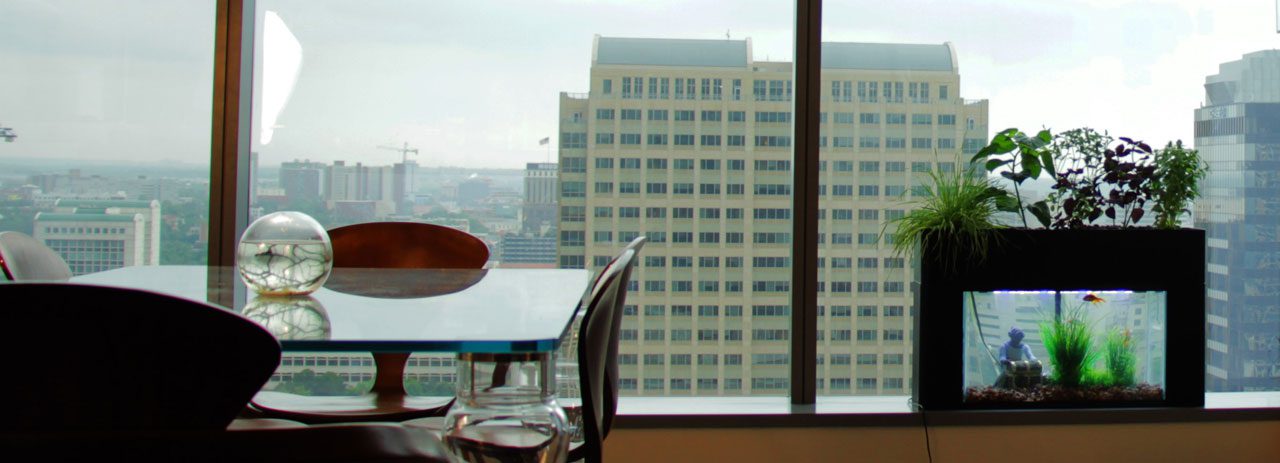 Zespół AquaSprouts