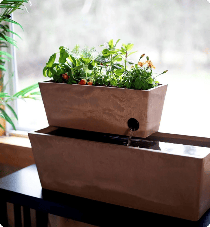 Jak AquaSprouts osiąga 96,5% wskaźnik zadowolenia klientów dzięki LiveAgent