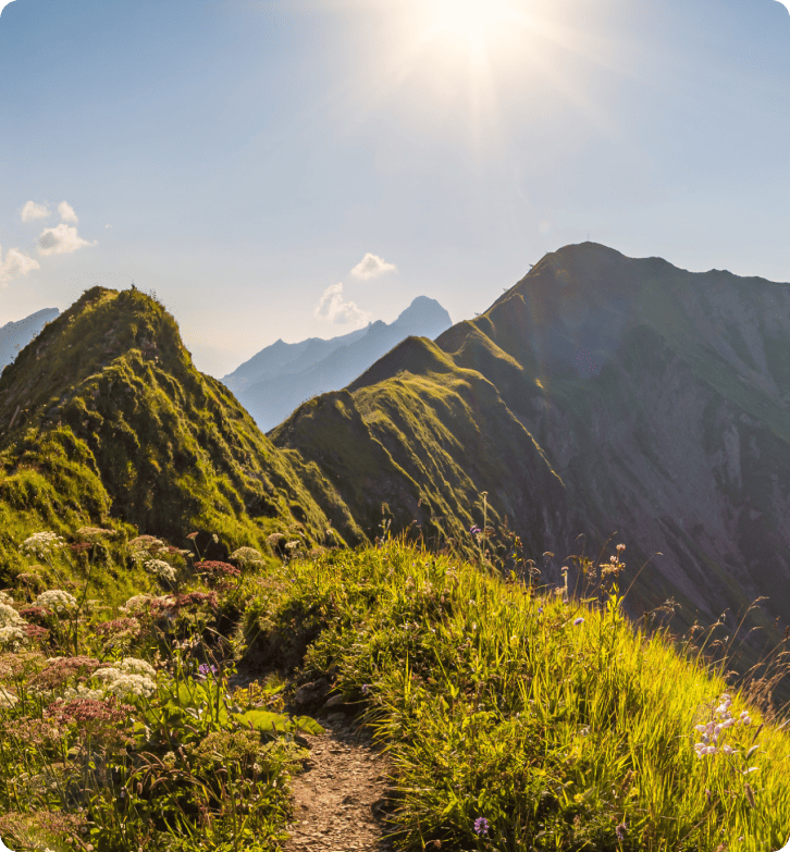 Jak ZlavaDna poprawiła obsługę klienta dzięki LiveAgent